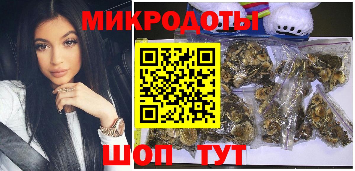 Галлюциногенные грибы Psilocybe  купить   Хасавюрт  Вход с VPN 