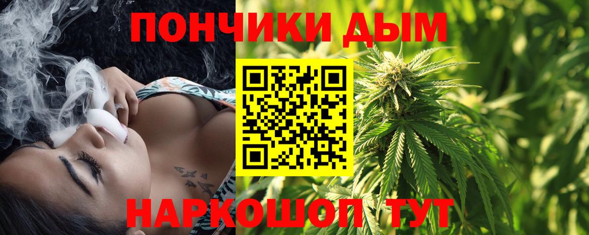 Хасавюрт  Марихуана ГИДРОПОН  Бошки марихуана AK-47  МАРИХУАНА конопля  Вход с VPN 